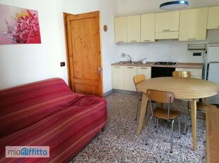 Bilocale arredato con terrazzo Centro