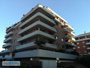 Bilocale arredato con terrazzo Pomezia centro