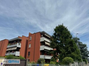 Bilocale arredato con terrazzo San pancrazio