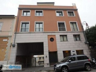 Bilocale arredato con terrazzo Trieste