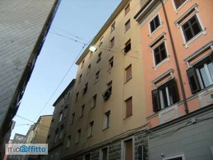 Bilocale arredato Trieste