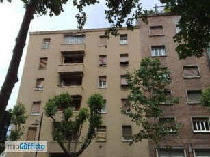 Bilocale con terrazzo Trieste