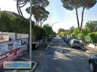 Monolocale arredato Infernetto, axa, casal palocco, madonnetta a roma