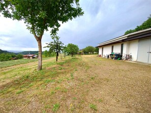 Rustico con terreno agricolo