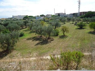 Terreno agricolo in vendita a Bari