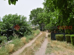 Terreno Agricolo in vendita a Castel San Giorgio