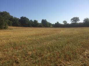 Terreno Agricolo in vendita, Colle di Val d'Elsa quartaia