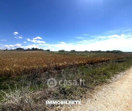 Terreno agricolo in Vendita in Contrada CORRENTE a Altamura