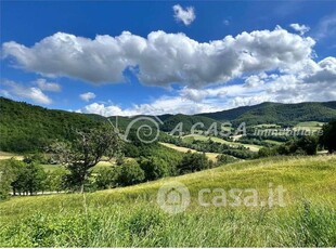 Terreno agricolo in Vendita in Via Casanuova 26 a Calestano