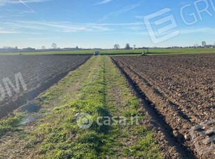 Terreno agricolo in Vendita in Via Ormeolo a Roverchiara