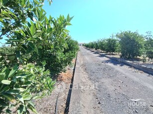 Terreno agricolo in Vendita in Via Poggio a Paternò