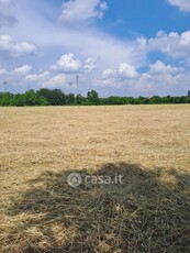 Terreno agricolo in Vendita in Via Sogare a Verona