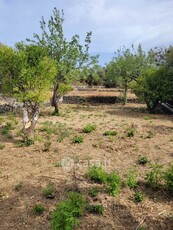 Terreno edificabile in Vendita in a Gravina di Catania