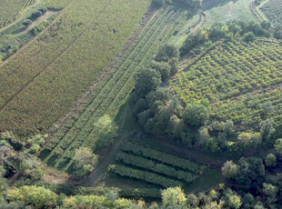 terreno residenziale in vendita a Pastrengo