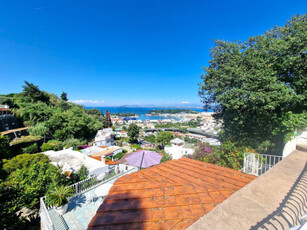 Villa nuova a Ischia - Villa ristrutturata Ischia