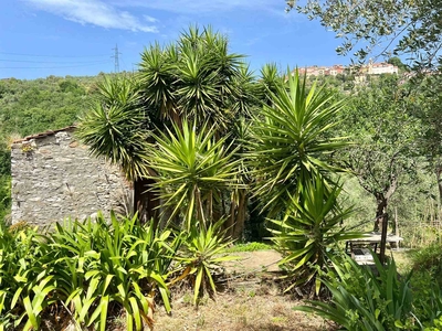 Rustico casale da ristrutturare a Vezzano Ligure