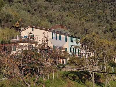 Vendita Casa semi indipendente Molino Nuovo, Avegno, Avegno