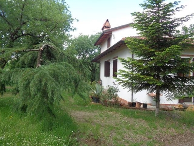 Villa in vendita a Civitella In Val Di Chiana Arezzo Oliveto