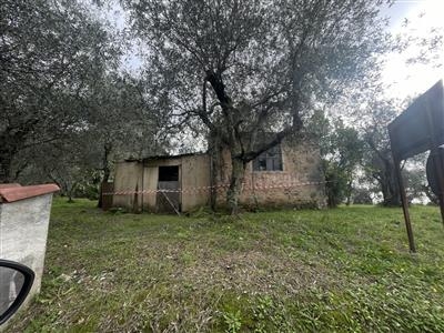 Capannone / Fondo - Laboratorio a Capezzano Monte, Pietrasanta