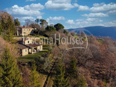 Rustico casale con piscina in vendita a Cortona - Immerso nella natura con vista panoramica