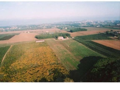 In Vendita: Incantevole Azienda Agricola con Casa Padronale e Terreni a Castiglione del Lago