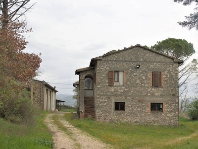 For Sale: Prestigious Winemaking Agricultural Company in Umbria