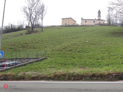 Terreno agricolo in Vendita in Via cepino a Sant'Omobono Terme