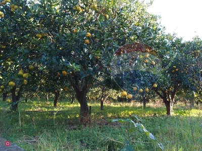 Terreno agricolo in Vendita in Via Giuseppe Zinghirino a Giarre