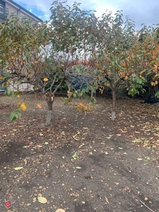 Terreno edificabile in Vendita in Via Stazione Motta a Motta Sant'Anastasia