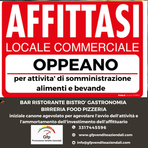 azienda commerciale in affitto a Oppeano