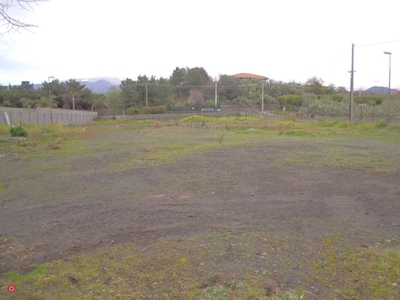 Terreno agricolo in Affitto in Via Santa Maria di Licodia a Belpasso