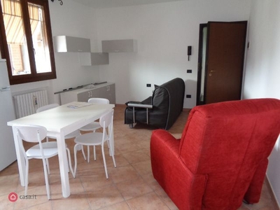 Appartamento in Affitto in Via PALONA a Castelvetro di Modena