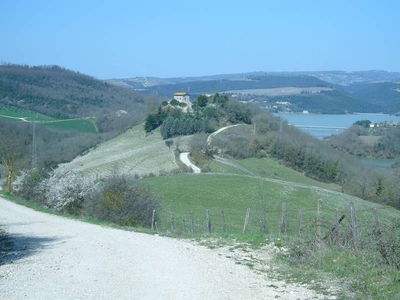 Azienda agrituristica con terreno in vendita a Baschi, Umbria