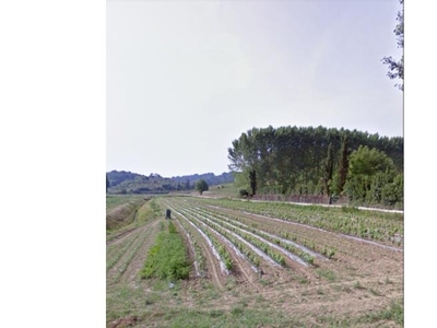 Terreno Agricolo/Coltura in vendita a Lari, Frazione Boschi Di Lari, Via Pisinacchio