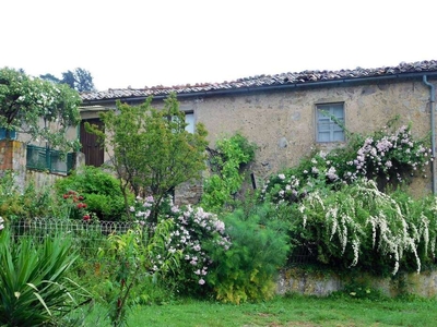 Rustico Casale in Vendita a Roccastrada con Terreno di 1,5 Ettari