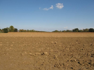 Terreno agricolo in vendita a Falconara Marittima