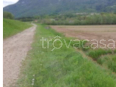 Terreno Agricolo in vendita a Ponte nelle Alpi via Fiorane