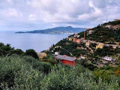 SAN PIETRO DI ROVERETO - RUSTICO SEMINDIPENDENTE