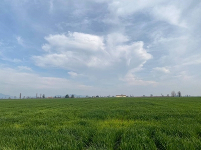 Terreno Agricolo in vendita a Monselice via Roma