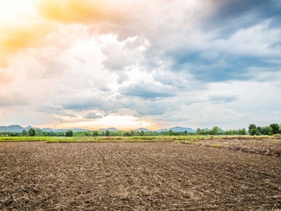 Terreno Agricolo in vendita a Silea via Creta