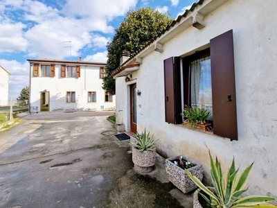 Villa Bifamiliare in Vendita ad Fratta Polesine - 100000 Euro