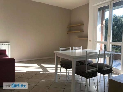 Appartamento arredato con terrazzo Desenzano centro