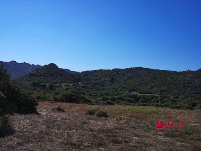 Terreno Agricolo vista mare a Santa Teresa Gallura