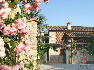 Casa Vacanza - Villa Il Mulino - Casolare di Lusso - campagna Lucca