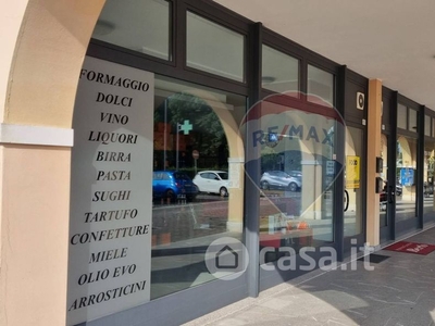 Negozio/Locale commerciale in Affitto in Via Colli Euganei 55 a Saccolongo