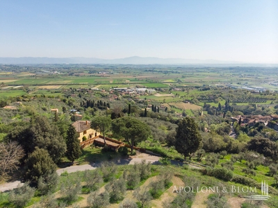 Rustico con terrazzo, Sinalunga scrofiano