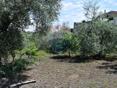 Terreno agricolo in Vendita a Catania, zona San Giovanni Galermo, 125'000€, 3000 m²