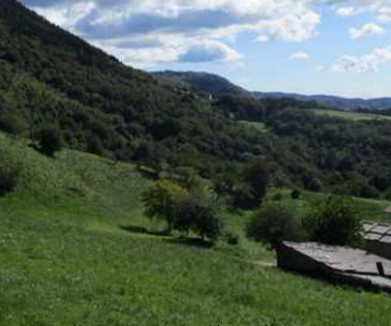 terreno agricolo in vendita a Sant'Anna d'Alfaedo