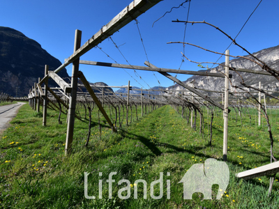 terreno residenziale in vendita a RoverÃÂ¨ della Luna