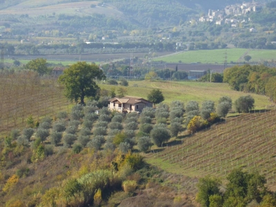 Vendita Rustico/Casale/Corte in BASCHI